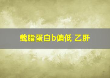 载脂蛋白b偏低 乙肝